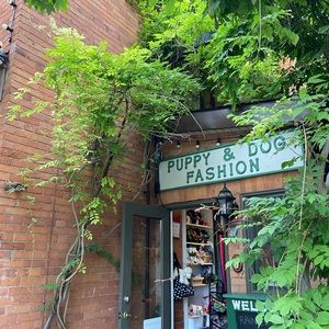 Meet your Posher, Cindy